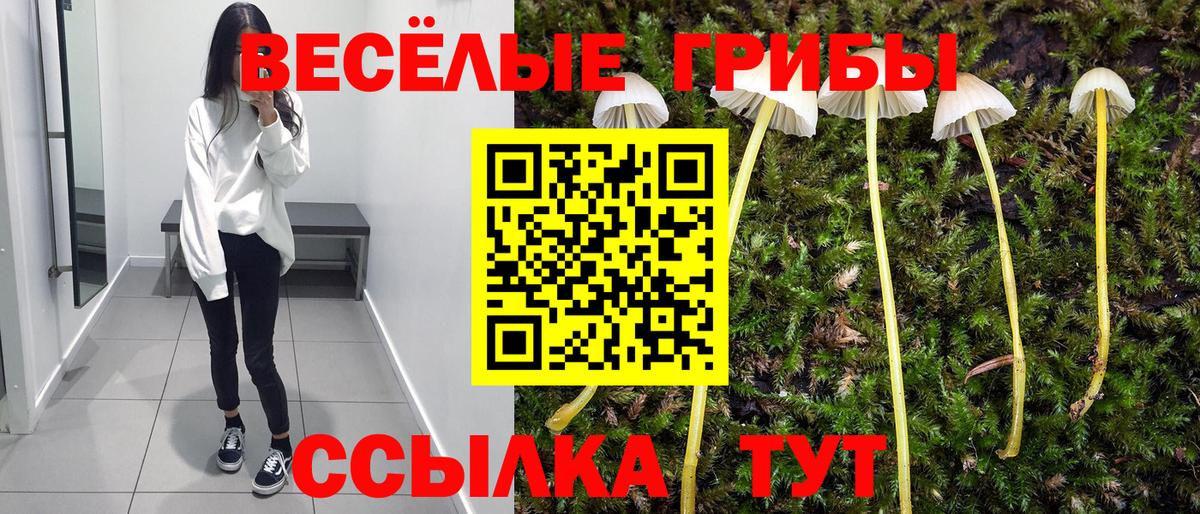 Галлюциногенные грибы мухоморы  Вход с VPN  закладки  Луга 